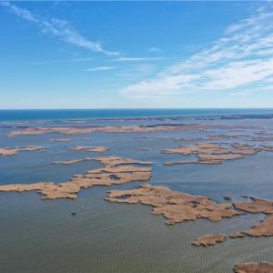 Photo #11 of 4097 Muddy Creek Road, Virginia Beach, Virginia 1.4 acres