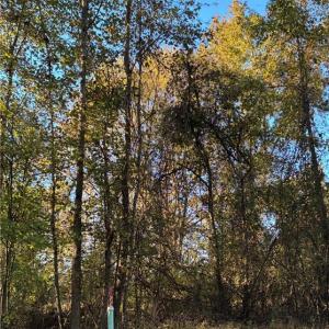 Left pin of property frontage