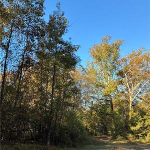 Photo #6 of 1.23ac Burnt Reed Road, Boykins, Virginia 1.2 acres