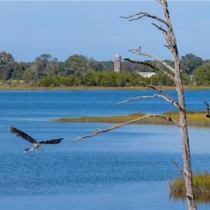 Photo #16 of 25+AC Glass Road, Hayes, Virginia 26.0 acres