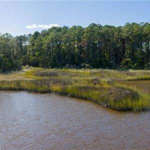 Photo #17 of 25+AC Glass Road, Hayes, Virginia 26.0 acres