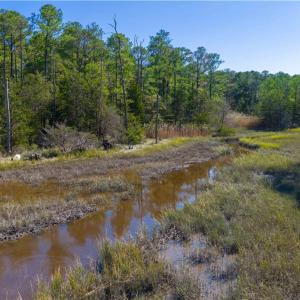 Photo #18 of 25+AC Glass Road, Hayes, Virginia 26.0 acres