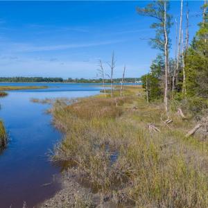 Photo #20 of 25+AC Glass Road, Hayes, Virginia 26.0 acres