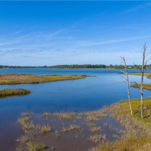 Photo #21 of 25+AC Glass Road, Hayes, Virginia 26.0 acres