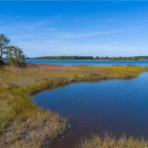 Photo #27 of 25+AC Glass Road, Hayes, Virginia 26.0 acres