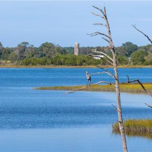 Photo #4 of 25+AC Glass Road, Hayes, Virginia 26.0 acres