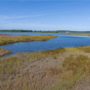 Photo #10 of 25+AC Glass Road, Hayes, Virginia 26.0 acres