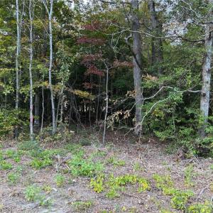 Photo #3 of 3.02AC Hog Island Lot 1 Road, Surry, Virginia 3.0 acres