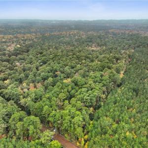 Photo #11 of 25+AC Low Ground Road, Hayes, Virginia 27.0 acres