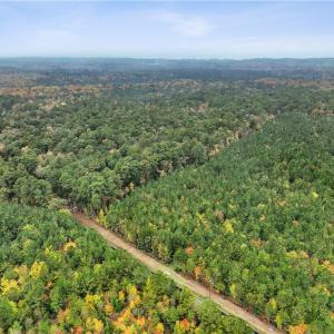 Photo #13 of 25+AC Low Ground Road, Hayes, Virginia 27.0 acres