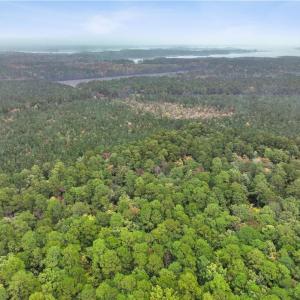 Photo #6 of 25+AC Low Ground Road, Hayes, Virginia 27.0 acres