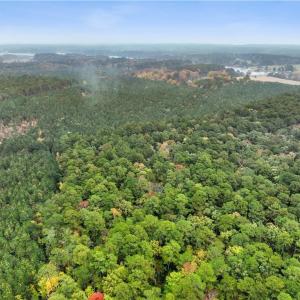 Photo #8 of 25+AC Low Ground Road, Hayes, Virginia 27.0 acres