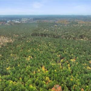 Photo #14 of 25+AC Low Ground Road, Hayes, Virginia 27.0 acres