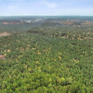 Photo #15 of 25+AC Low Ground Road, Hayes, Virginia 27.0 acres