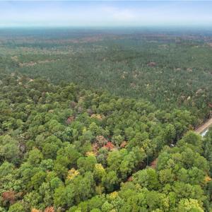 Photo #4 of 25+AC Low Ground Road, Hayes, Virginia 27.0 acres