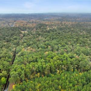 Photo #10 of 25+AC Low Ground Road, Hayes, Virginia 27.0 acres