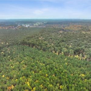 Photo #16 of 25+AC Low Ground Road, Hayes, Virginia 27.0 acres