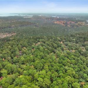 Photo #7 of 25+AC Low Ground Road, Hayes, Virginia 27.0 acres