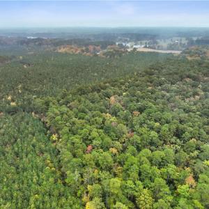 Photo #9 of 25+AC Low Ground Road, Hayes, Virginia 27.0 acres