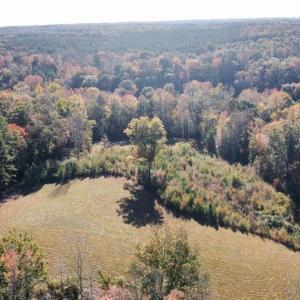 Photo #11 of 4720 Wightman Road, Chase City, Virginia 70.0 acres