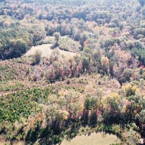 Photo #12 of 4720 Wightman Road, Chase City, Virginia 70.0 acres