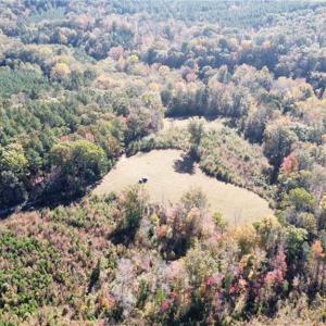 Photo #13 of 4720 Wightman Road, Chase City, Virginia 70.0 acres