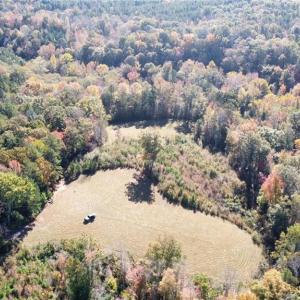 Photo #14 of 4720 Wightman Road, Chase City, Virginia 70.0 acres