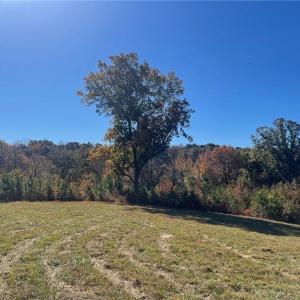 Photo #15 of 4720 Wightman Road, Chase City, Virginia 70.0 acres