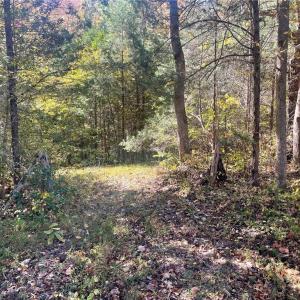 Photo #18 of 4720 Wightman Road, Chase City, Virginia 70.0 acres