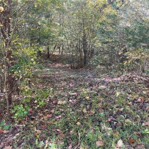 Photo #19 of 4720 Wightman Road, Chase City, Virginia 70.0 acres