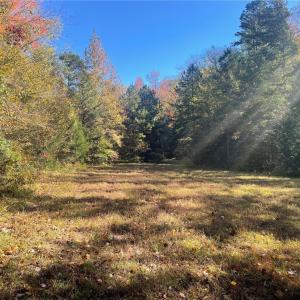 Photo #20 of 4720 Wightman Road, Chase City, Virginia 70.0 acres