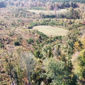 Photo #3 of 4720 Wightman Road, Chase City, Virginia 70.0 acres