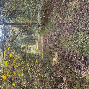 Photo #25 of 4720 Wightman Road, Chase City, Virginia 70.0 acres