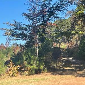 Photo #28 of 4720 Wightman Road, Chase City, Virginia 70.0 acres