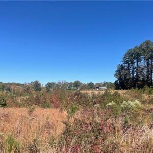 Photo #30 of 4720 Wightman Road, Chase City, Virginia 70.0 acres