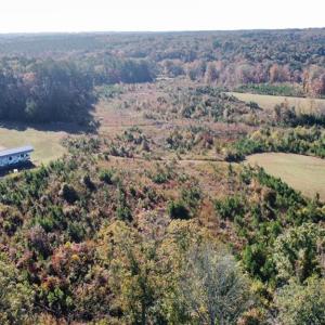 Photo #4 of 4720 Wightman Road, Chase City, Virginia 70.0 acres