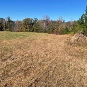 Photo #31 of 4720 Wightman Road, Chase City, Virginia 70.0 acres