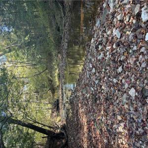 Photo #35 of 4720 Wightman Road, Chase City, Virginia 70.0 acres