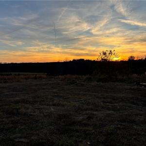 Photo #38 of 4720 Wightman Road, Chase City, Virginia 70.0 acres