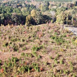 Photo #5 of 4720 Wightman Road, Chase City, Virginia 70.0 acres