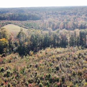 Photo #6 of 4720 Wightman Road, Chase City, Virginia 70.0 acres