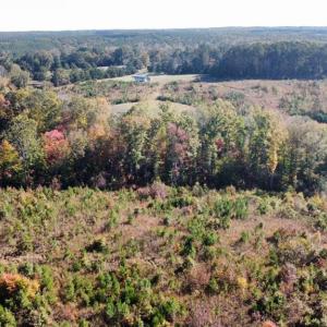 Photo #7 of 4720 Wightman Road, Chase City, Virginia 70.0 acres