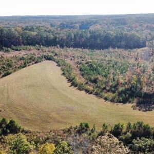 Photo #8 of 4720 Wightman Road, Chase City, Virginia 70.0 acres