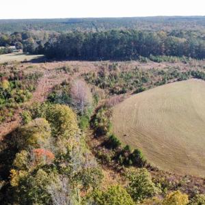 Photo #9 of 4720 Wightman Road, Chase City, Virginia 70.0 acres