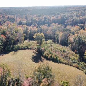 Photo #10 of 4720 Wightman Road, Chase City, Virginia 70.0 acres