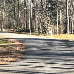 Photo #5 of Lot 4 Kentucky Trail, Chesapeake, Virginia 3.0 acres