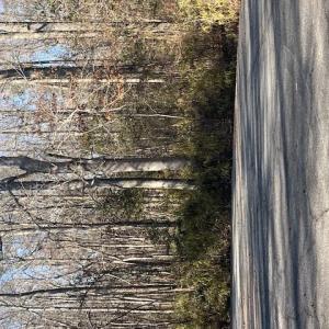 Photo #7 of Lot 4 Kentucky Trail, Chesapeake, Virginia 3.0 acres