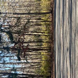 Photo #8 of Lot 4 Kentucky Trail, Chesapeake, Virginia 3.0 acres
