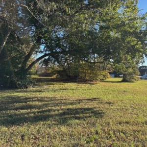Photo #4 of .57Ac Smithfield Boulevard, Smithfield, Virginia 0.6 acres
