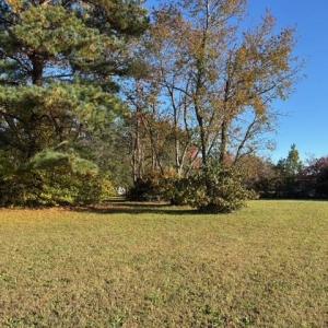 Photo #5 of .57Ac Smithfield Boulevard, Smithfield, Virginia 0.6 acres